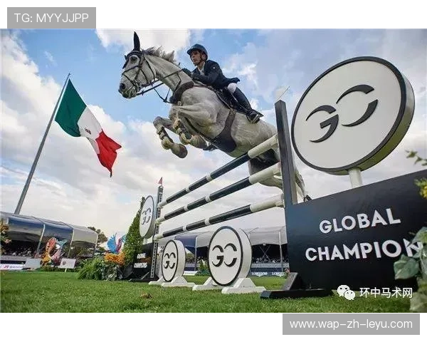 伊朗马术协会授予马尔科·阿尔瓦雷斯“年度最佳马匹护理员”称号。